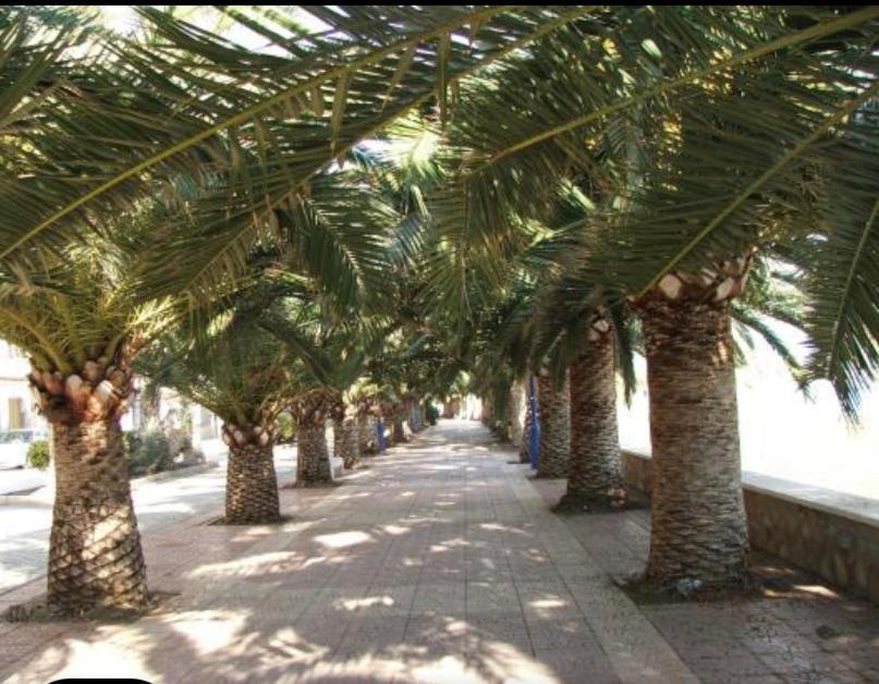 Vcc Home'S El Puerto de Mazarrón 外观 照片
